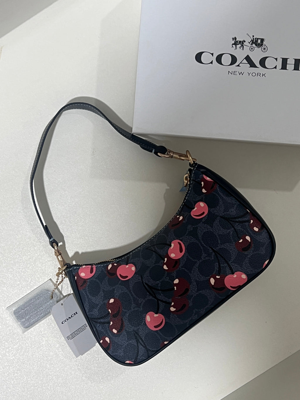 Coach Teri Blue Cherry Shoulder Bag (with Box and long strap)