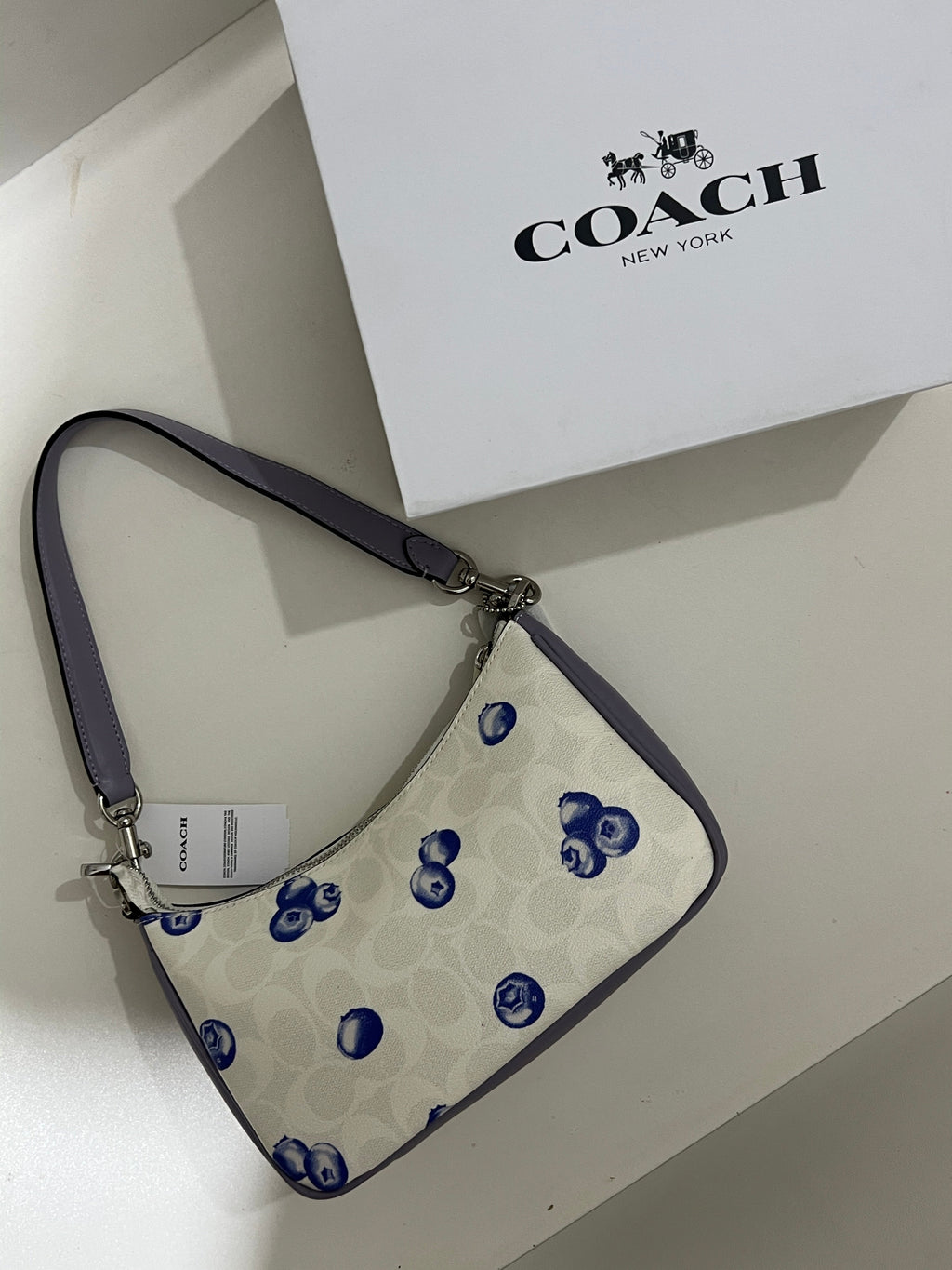 Coach Teri Signature Blueberry Shoulder Bag (with Box and long strap)